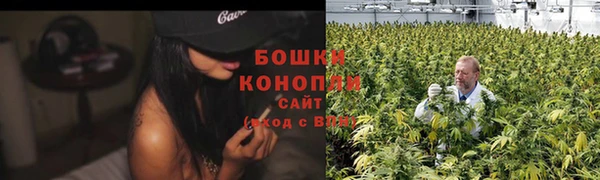 сатива Медногорск