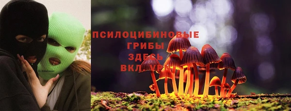 мяу мяу мука Медвежьегорск
