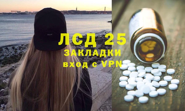 сатива Медногорск