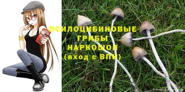 сатива Медногорск