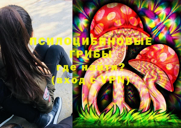 сатива Медногорск